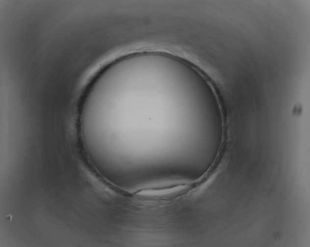 X0000094941502200712131548