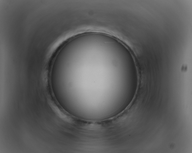 X0000094941503200712131548