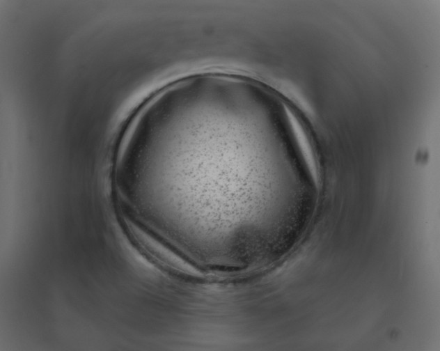 X0000094941504200712131548