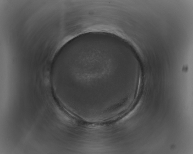 X0000094941505200712131548