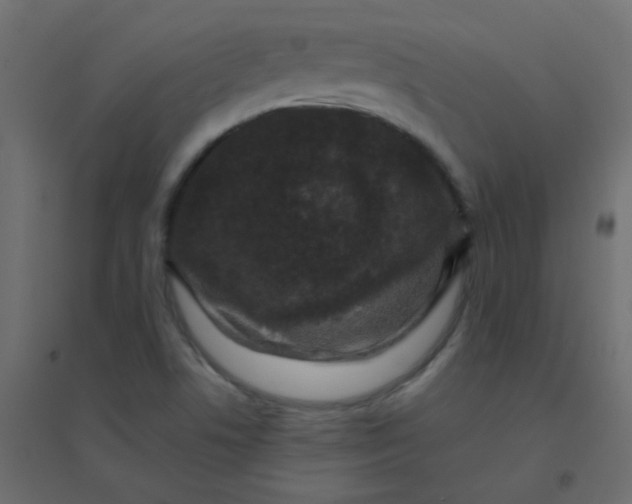 X0000094941506200712131548