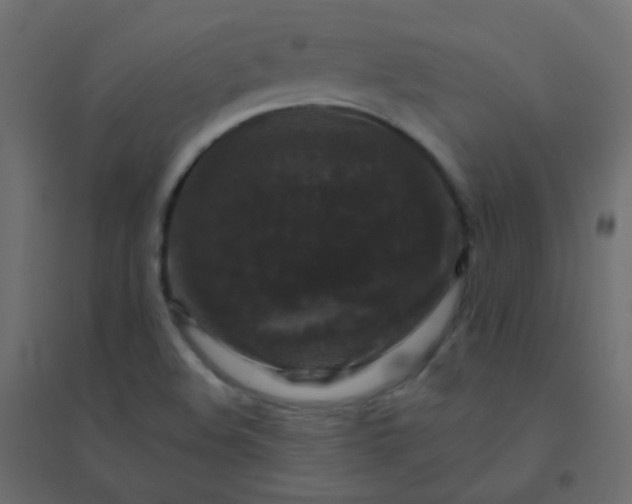 X0000094941508200712131548