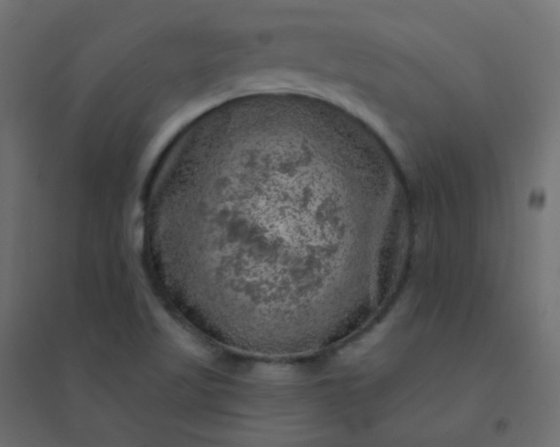 X0000094941509200712131548