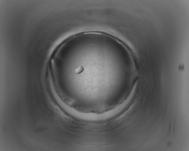 X0000094941510200712131548