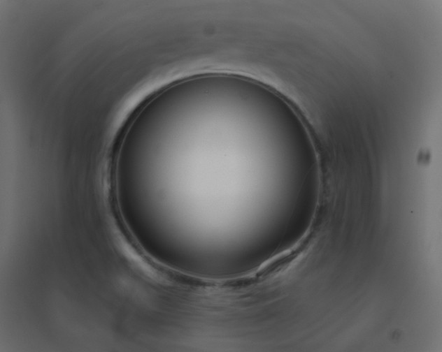 X0000094941511200712131548