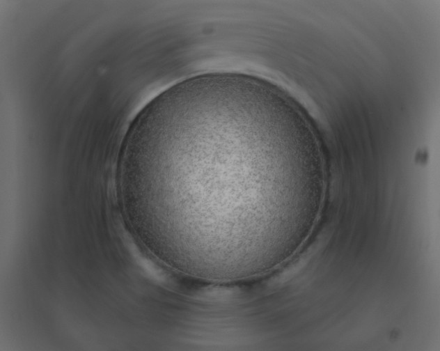 X0000094941513200712131548