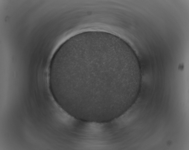 X0000094941514200712131548