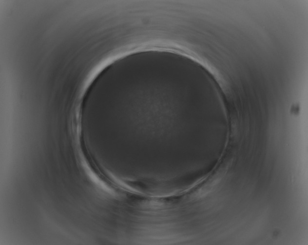 X0000094941515200712131548