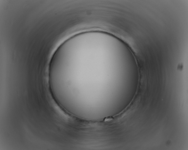 X0000094941516200712131548