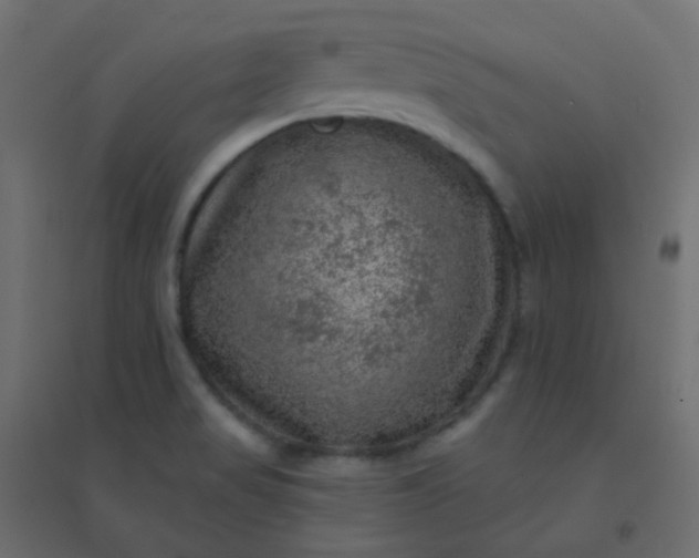 X0000094941517200712131548