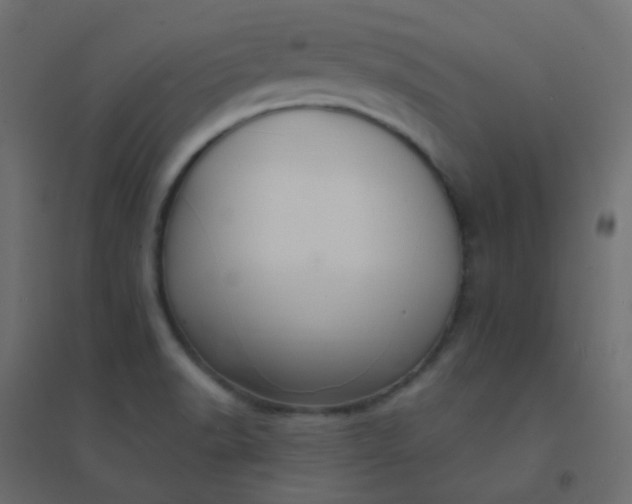 X0000094941518200712131548