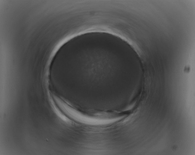 X0000094941519200712131549