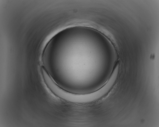 X0000094941520200712131549