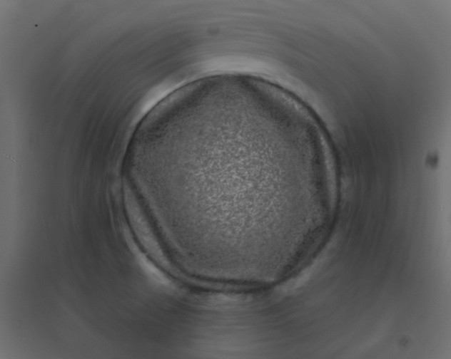 X0000094941521200712131549