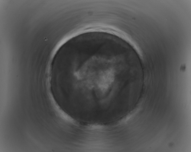 X0000094941522200712131549