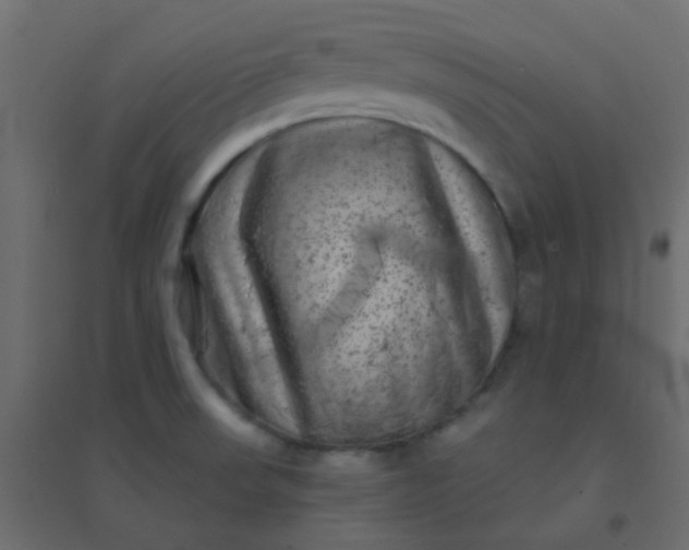 X0000094941523200712131549