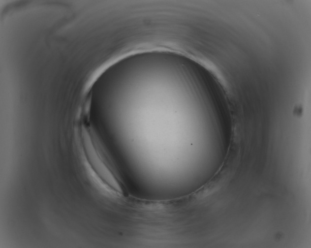 X0000094941524200712131549