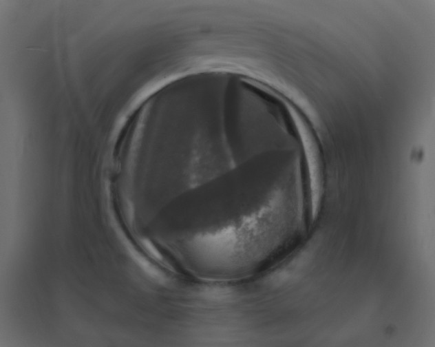 X0000094941525200712131549