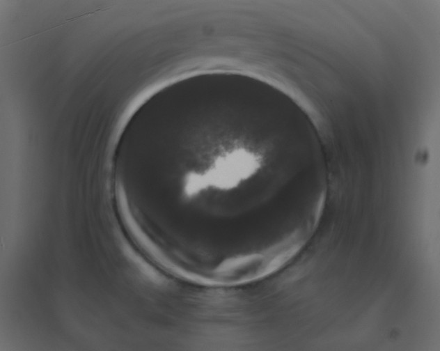 X0000094941527200712131549