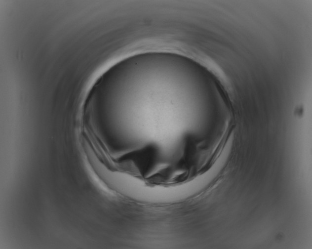 X0000094941528200712131549