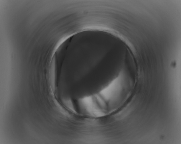 X0000094941529200712131549