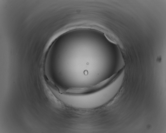 X0000094941530200712131549