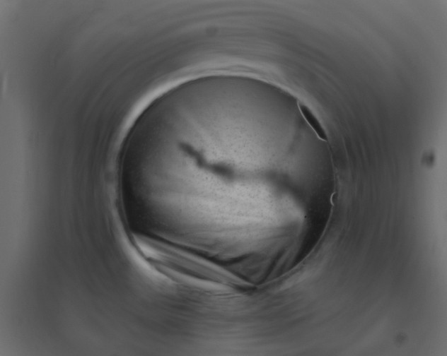 X0000094941531200712131549