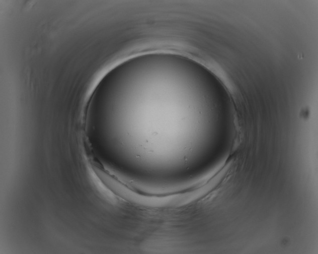 X0000094941532200712131549