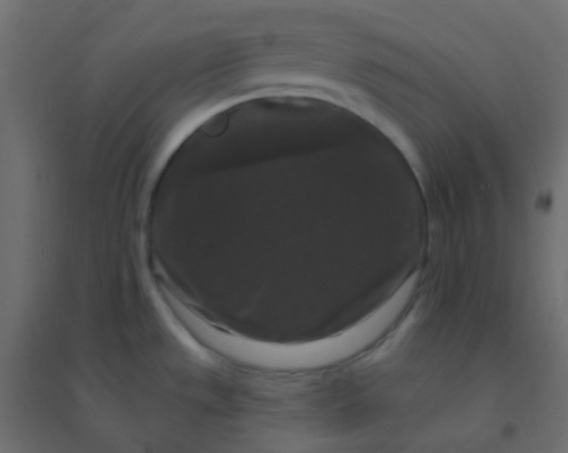 X0000094941533200712131549