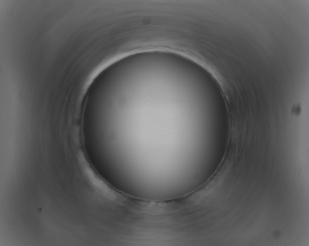 X0000094941534200712131549