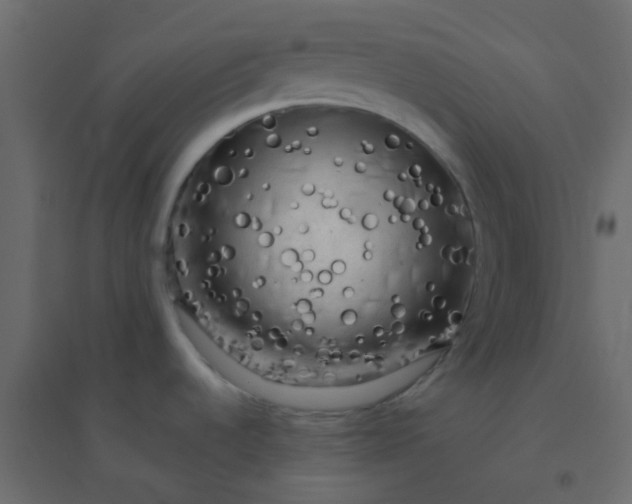 X0000094941536200712131549