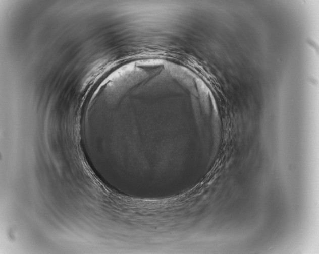 X0000094940002200712201125