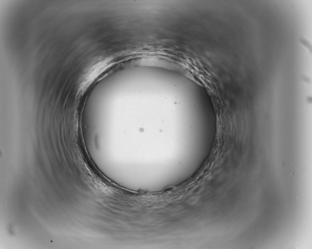 X0000094940005200712201125