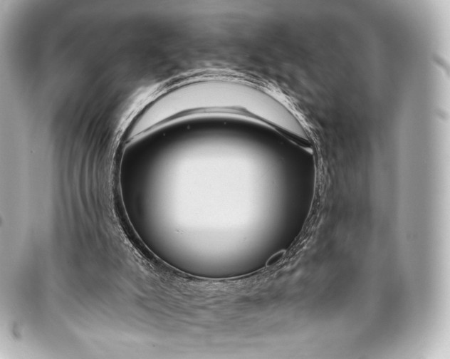 X0000094940007200712201125