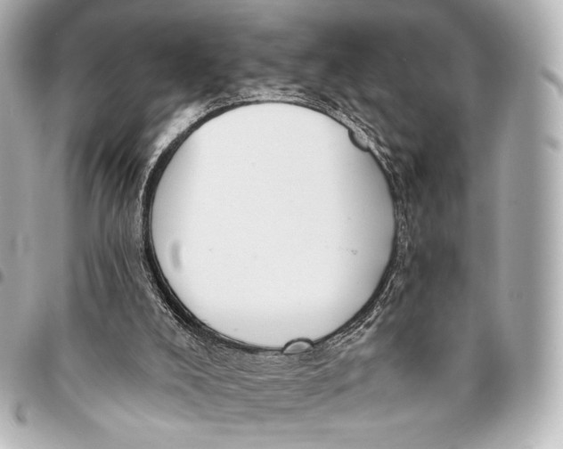 X0000094940008200712201125