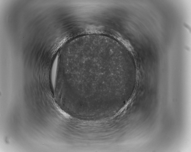 X0000094940009200712201125