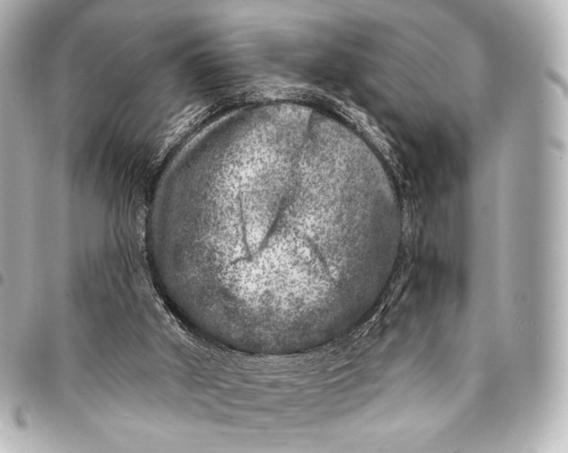 X0000094940010200712201125