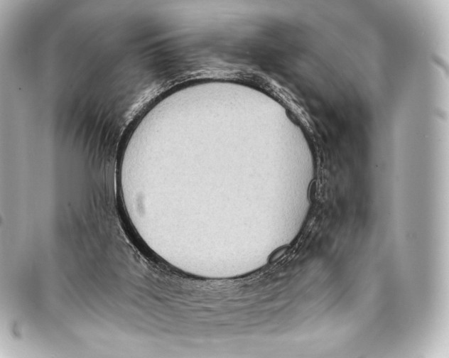 X0000094940011200712201125