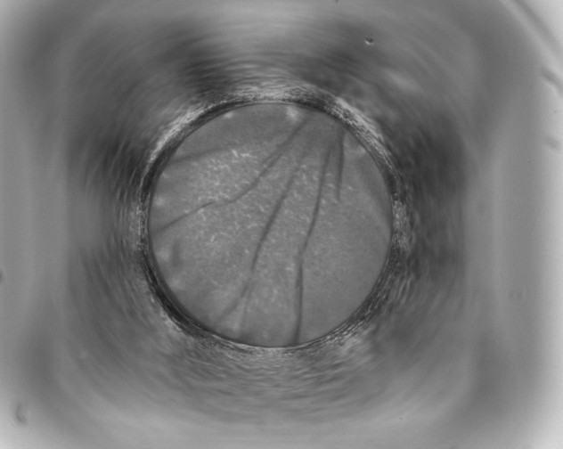 X0000094940012200712201125