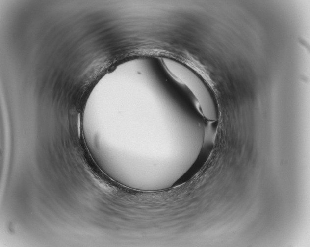 X0000094940013200712201125