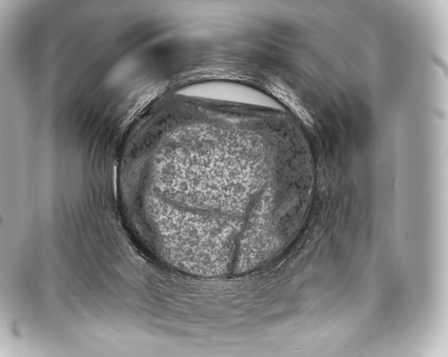 X0000094940014200712201125