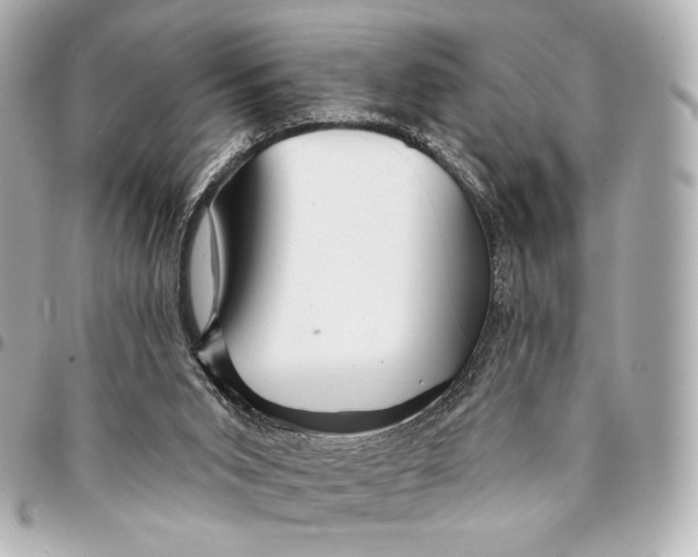 X0000094940015200712201125