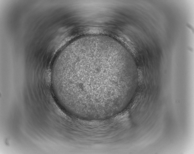 X0000094940016200712201125