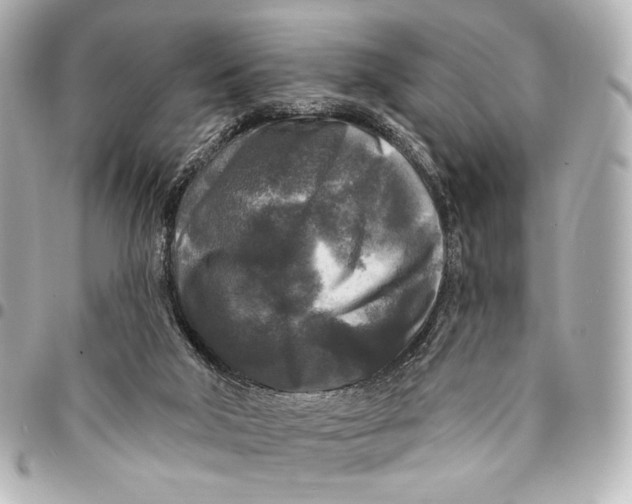 X0000094940018200712201125