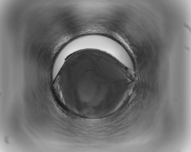 X0000094940019200712201125