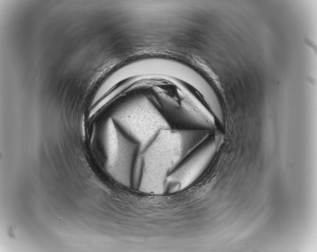 X0000094940020200712201125