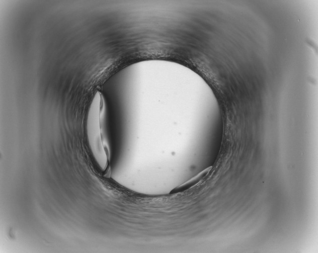 X0000094940021200712201125