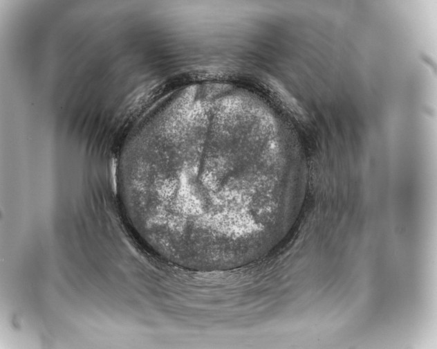 X0000094940022200712201125