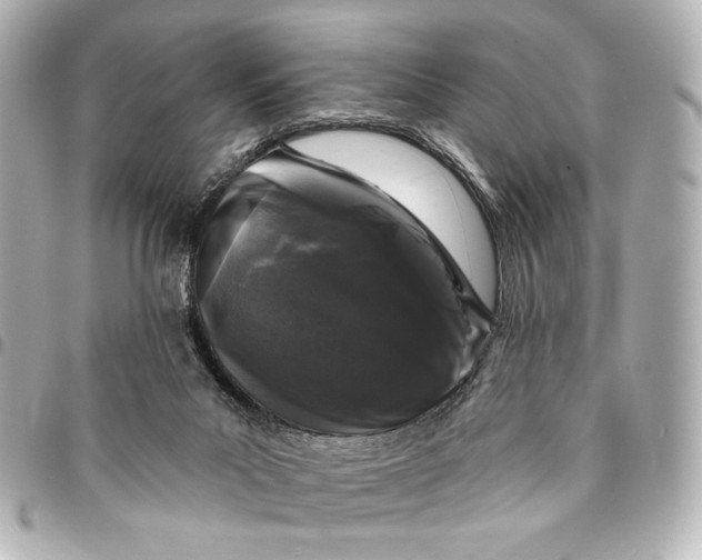 X0000094940023200712201125