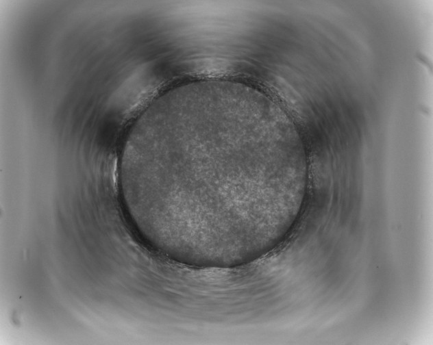 X0000094940024200712201125